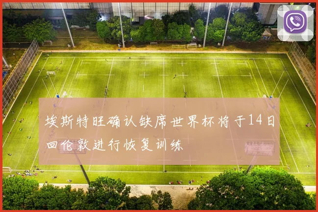 埃斯特旺确认缺席世界杯将于14日回伦敦进行恢复训练